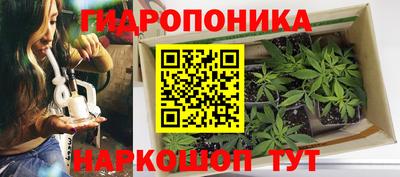 гидропоника Заволжье